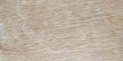 Beige Strong 30.5x60.5