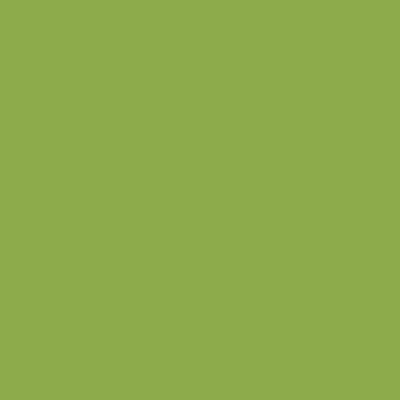 Kiwi 10x10