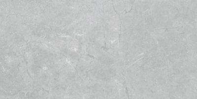 Constanza Gray 60x120