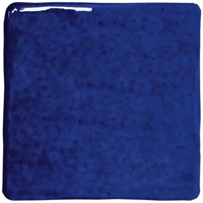 Roots S Indigo Gloss 11x11
