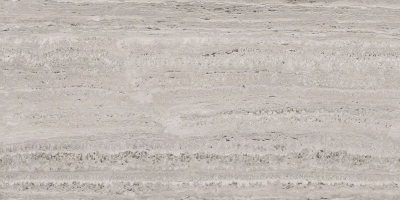 Liceo Grey PL Rect. 60x120