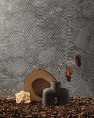 Stone Edition Dinamik Stone Edition Dinamik