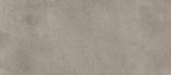 Grigio Chiaro Natural Rettificato 120x278