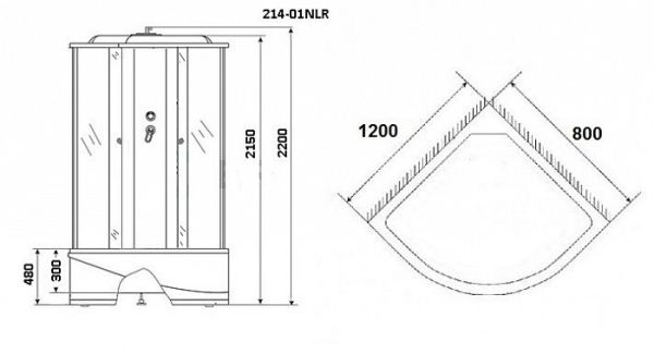 Душевая кабина Niagara Premium NG-214-01RN 120x80x220 правая с гидромассажем стекло тонированное