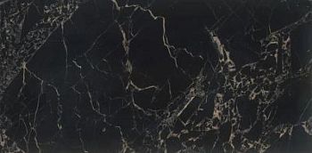 Marmi Portoro Black 60x120
