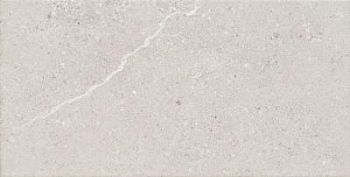 Grey 30.8x60.8