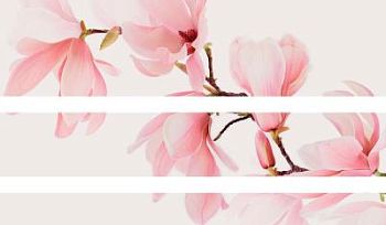 Supreme Magnolia Mix Sizes 60x120