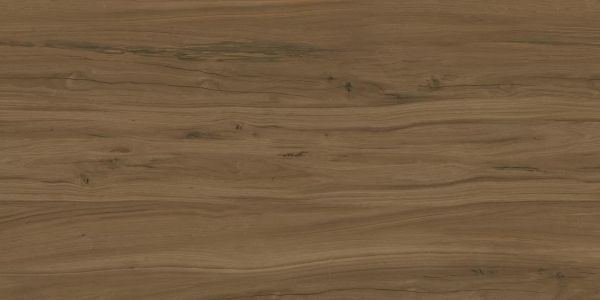 Alleya Dark Brown 60x120
