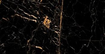 Black Gold Glossy 60x120