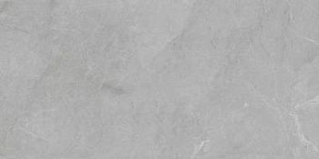 Barcelona Light Grey 60x120 5мм Matt