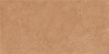 DETROIT COTTO MT 60X120