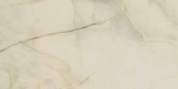 Onyx Blanche Glossy 60x120