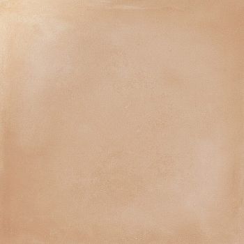 Intuition Ambar Абрикосовый Intuition Ambar Абрикосовый