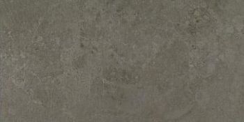 Moss Striato 29.75x59.55
