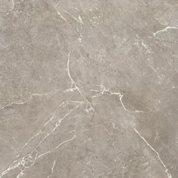 Glossy Grey Rec 60x60