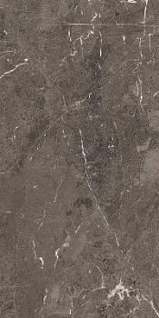 HERITAGE LUXE BROWN GLOSS.9MM 60X120 RET