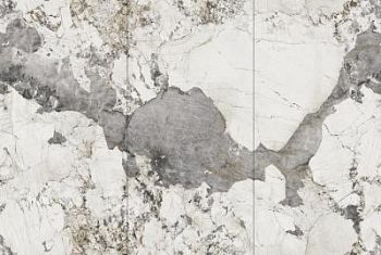 Calacatta Black 120x240