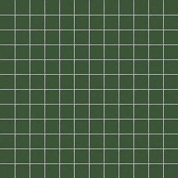 Felce Su Rete 2.5x2.5 30x30