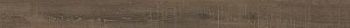 Marrone Rect 19.3x239.7