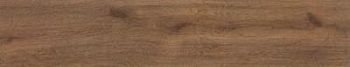 Amber Rect 22.7x119.5