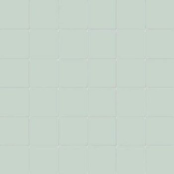 Edera Su Rete 10x10 30x30