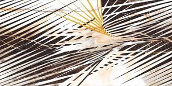 Polished Decor B 59.7x119.7
