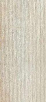 Lines Crema Ret 30x60