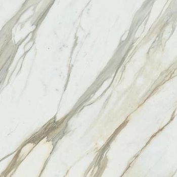 Calacatta Gold Luc Sq 120x120