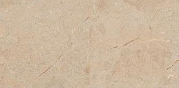 Camel Glossy 60x120 Camel Glossy 60x120