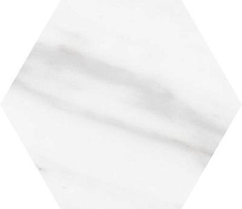 Calacatta Hexagon 20x23