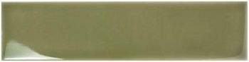 Olive Olive