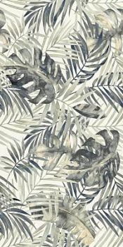 Palm