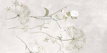 Botanical White Faccia C Rettificato 120x240