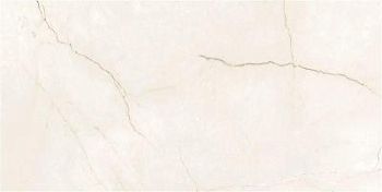 White 60x120