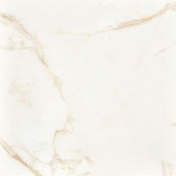Calacatta Gold Matt Ret 80x80
