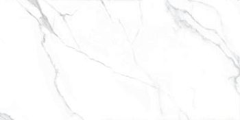 Lappato Rettificato 60x120