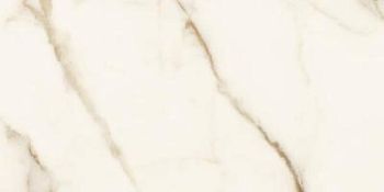 Calacatta Oro Nat 60x120