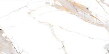 Calacatta Light Grey 60x120