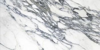 Carrara Surplus High Gloss 60x120