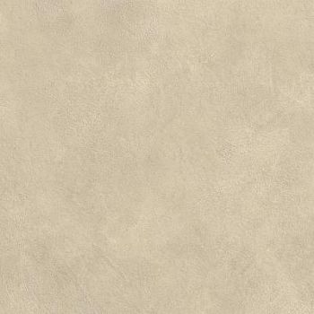 Boost Expression Tan 60x60