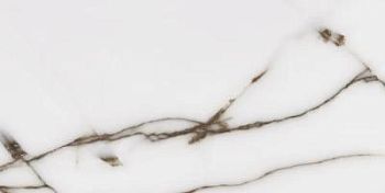 Fancy Onix Grey Glossy 60x120