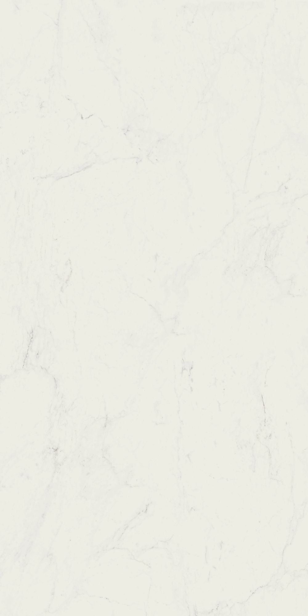 Керамогранит Grande Marble Look Altissimo rett. 120х240 Керамогранит Grande Marble Look Altissimo rett. 120х240