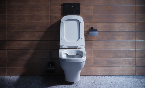 Унитаз подвесной Santek Лайн 1.WH50.1.574 34.5 x 53.5 x 35 см безободковый Soft Close Унитаз подвесной Santek Лайн 1.WH50.1.574 34.5 x 53.5 x 35 см безободковый Soft Close