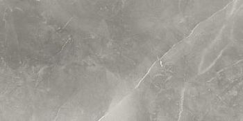 Fior Di Bosco Polished 60x120 Fior Di Bosco Polished 60x120