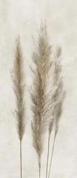 Deco Solutions Pampa Faccia A 120x278