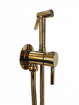 Set гигиен. Душа TWEET ROUND MIX душ и держатель из металла, шланг металл 1200мм, co СМЕСИТЕЛЕМ, цвет Золото
