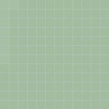 Aloe Su Rete 2.5x2.5 30x30