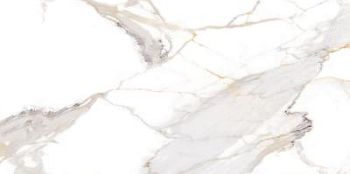 Calacatta Light Grey Mat 60x120