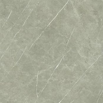 Taupe Natural 120x120