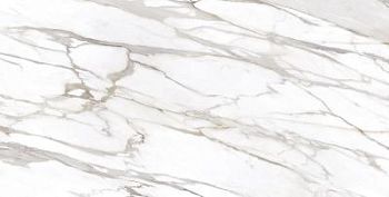 Calacatta Gold Canova Base Lappato 120x240